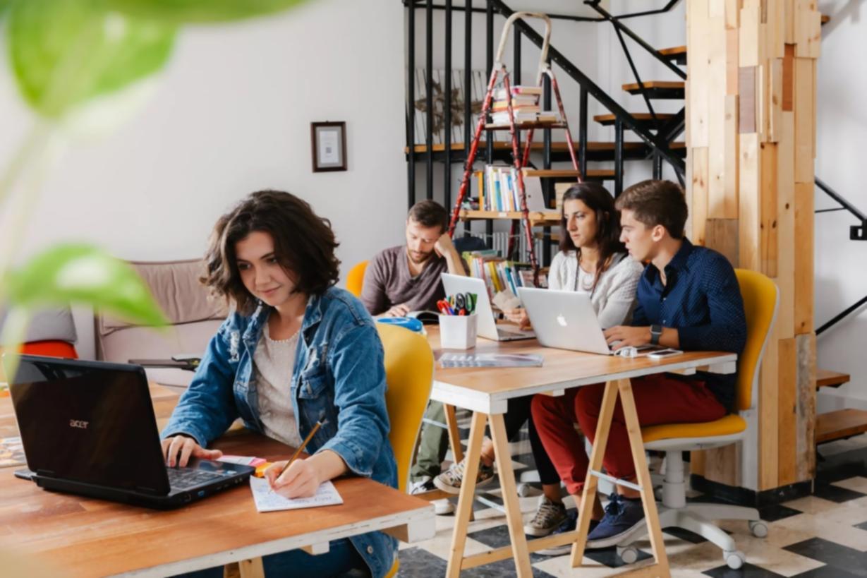 Rapoarte financiare generate de platforma Relonsavoinova